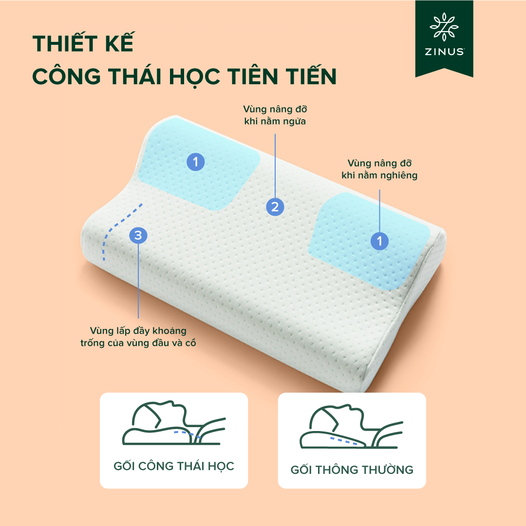Gối Cao Su Non Công Thái Học Hỗ Trợ Giảm Đau Cổ Vai Gáy - Zinus Contour Pillow Memory Foam