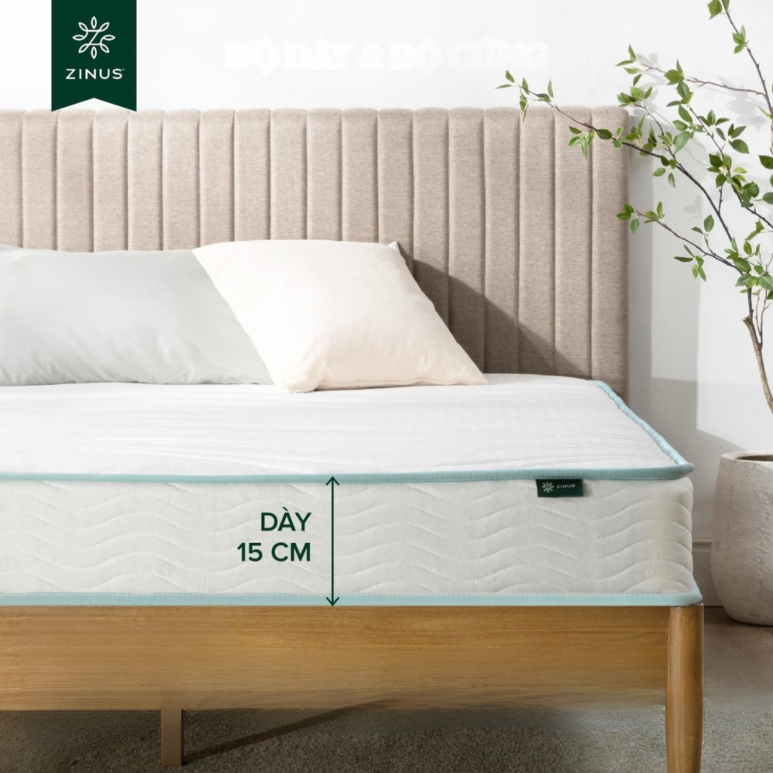 Nệm Lò Xo Cao Su Bonnell 15cm Zinus - 6in Opp Bonnell Spring Mattress