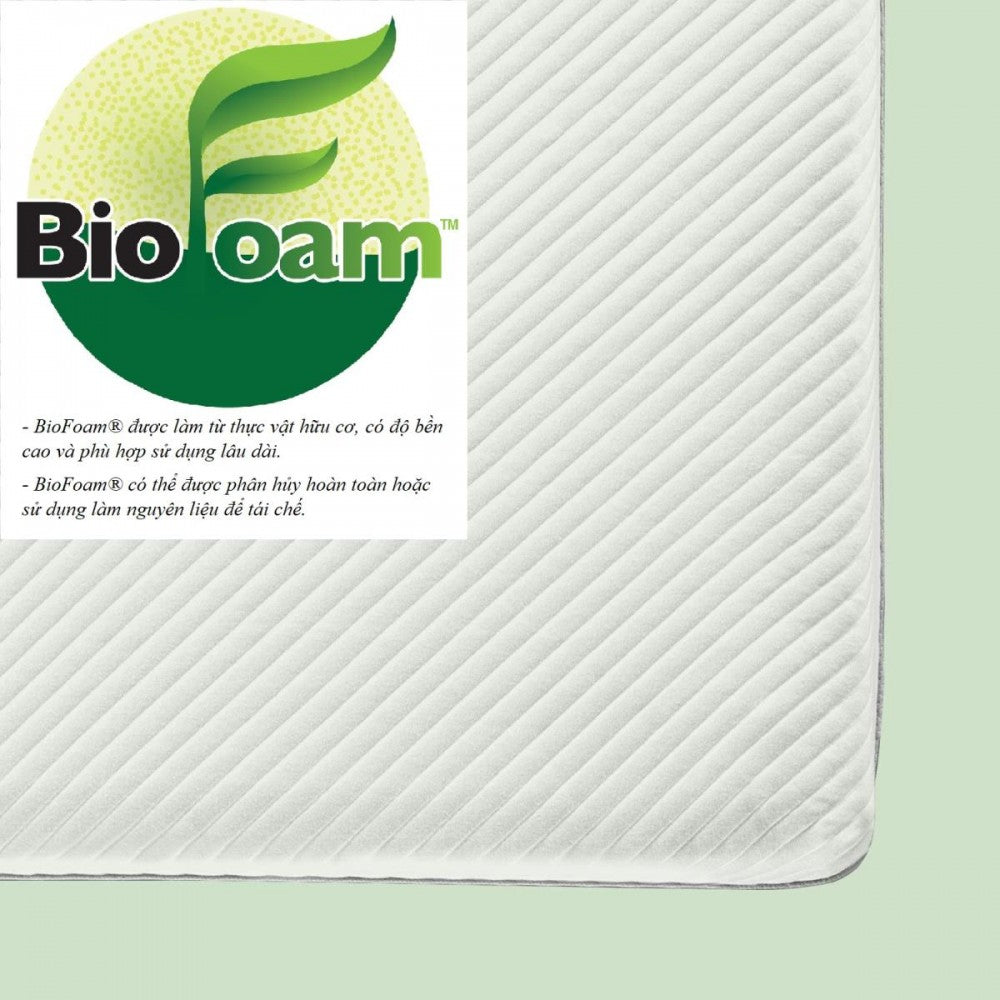 Nệm Foam Than Hoạt Tính Cao Cấp Dày 25cm Zinus - 10in Charcoal Foam Mattress
