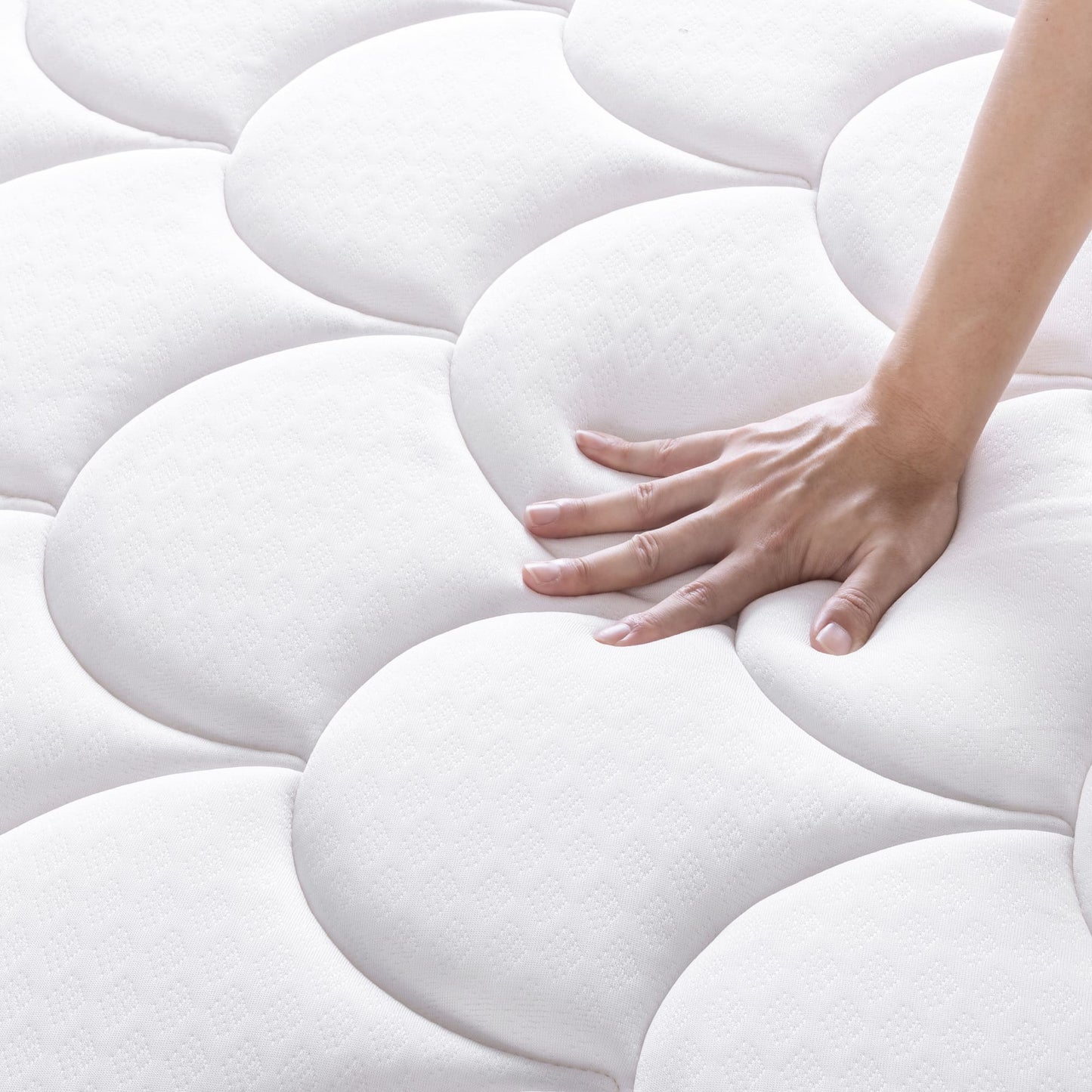Nệm Lò Xo Túi Độc Lập Zinus Euro Top 30cm - Spring Mattress Zinus Euro Top Pocketed 12in