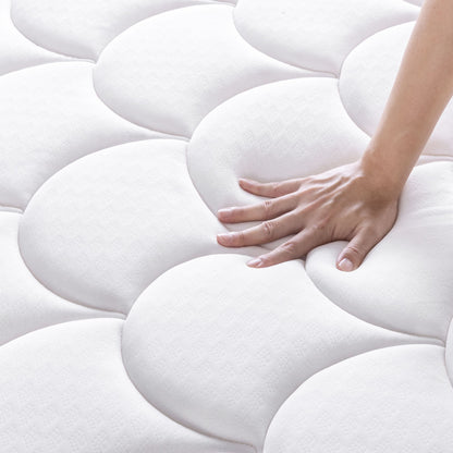 Nệm Lò Xo Túi Độc Lập Zinus Euro Top 30cm - Spring Mattress Zinus Euro Top Pocketed 12in