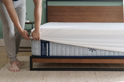 Tấm Bảo Vệ Nệm Zinus Tencel Chống Nước Cao Cấp