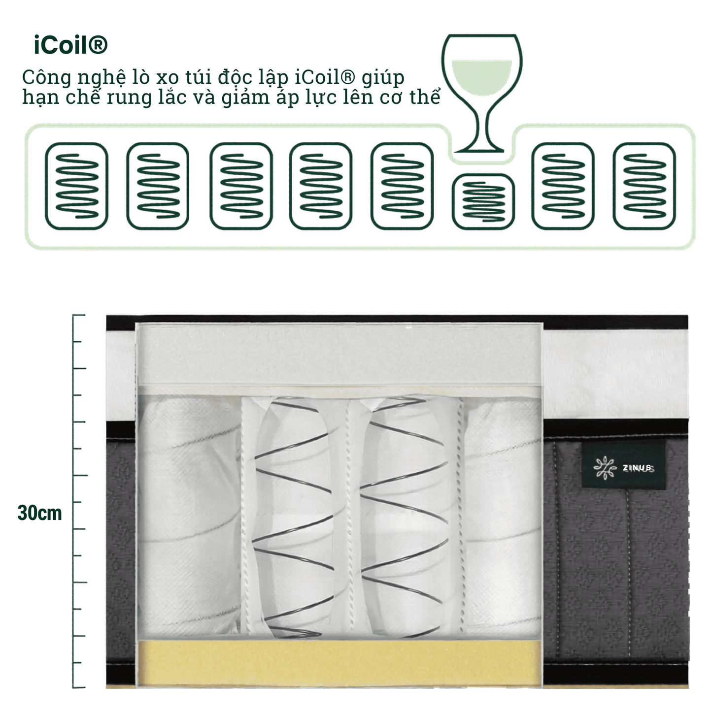 Nệm Lò Xo Túi Độc Lập Zinus Euro Top 30cm - Spring Mattress Zinus Euro Top Pocketed 12in