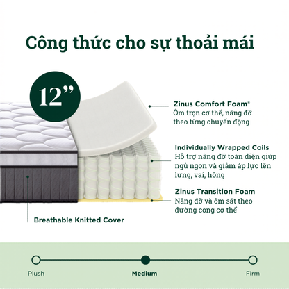 Nệm Lò Xo Túi Độc Lập Zinus Euro Top 30cm - Spring Mattress Zinus Euro Top Pocketed 12in