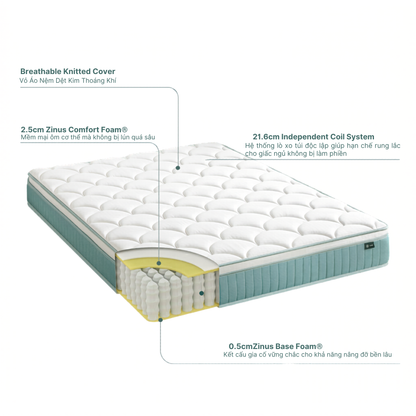 Nệm Lò Xo Độc Lập Với 3 Tầng Foam Hỗ Trợ 25cm - 10in Euro Top OPP Pocket Spring Mattress